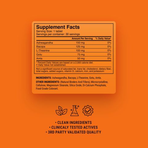 500mg - Calm Focus - Mango Mint - Mood Tablets - Thumbnail 9