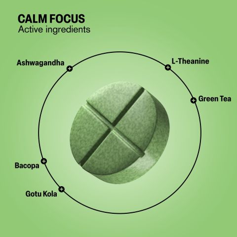 500mg - Calm Focus - Matcha Citrus - Mood Tablets - Thumbnail 5