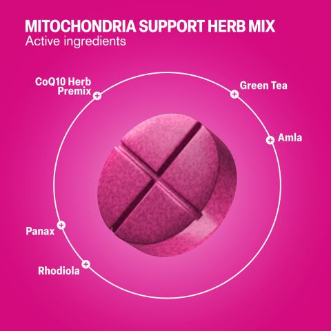 500mg - Mitochondria Support Herb Mix - Lemon Berry - Mood Tablets - Thumbnail 5