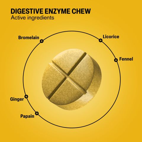 500mg - Digestive Enzyme - Pineapple Papaya - Mood Tablets - Thumbnail 5