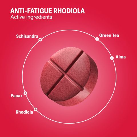 500mg - Anti-Fatigue Rhodiola - Cranberry Hibiscus - Mood Tablets - Thumbnail 5
