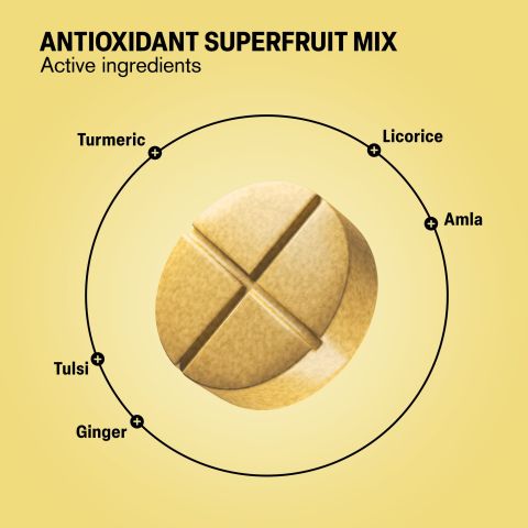 500mg - Cold Season Support - Honey Ginger Lemon - Mood Tablets - Thumbnail 5