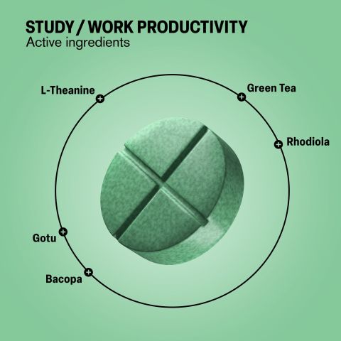 500mg - Study Work Productivity - Lime Mint - Mood Tablets - Thumbnail 5