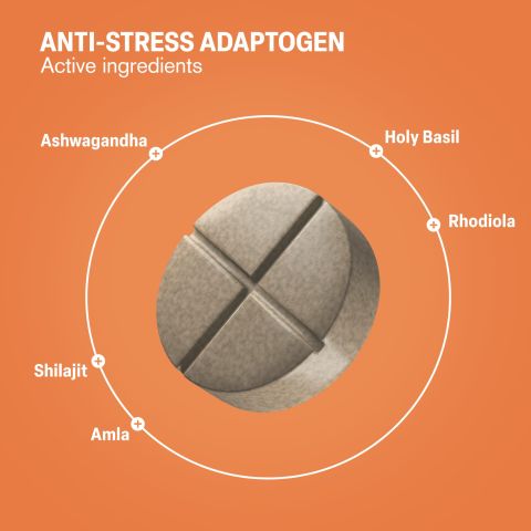 500mg - Anti-Stress - Cardamon Vanilla Chai - Mood Tablets - Thumbnail 5