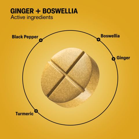 500mg - Ginger + Boswellia - Spiced Mango - Mood Tablets - Thumbnail 5