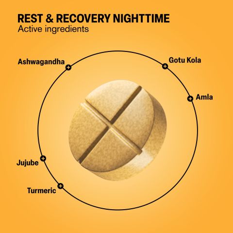 500mg - Rest & Recovery Nighttime - Golden Milk - Mood Tablets - Thumbnail 5