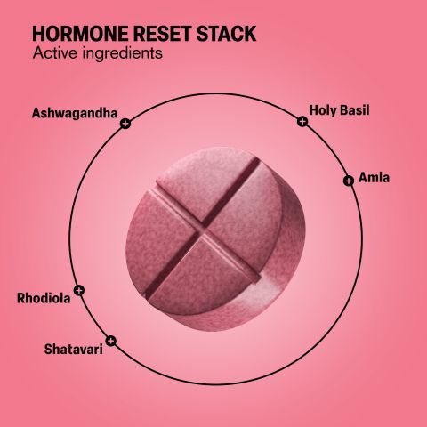 500mg - Hormone Reset Stack - Berry Rose - Mood Tablets - Thumbnail 5