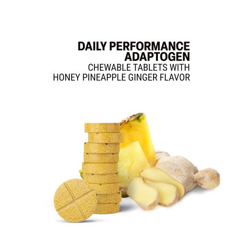 500mg - Daily Performance Adaptogen - Pineapple Ginger - Mood Tablets - Thumbnail 4