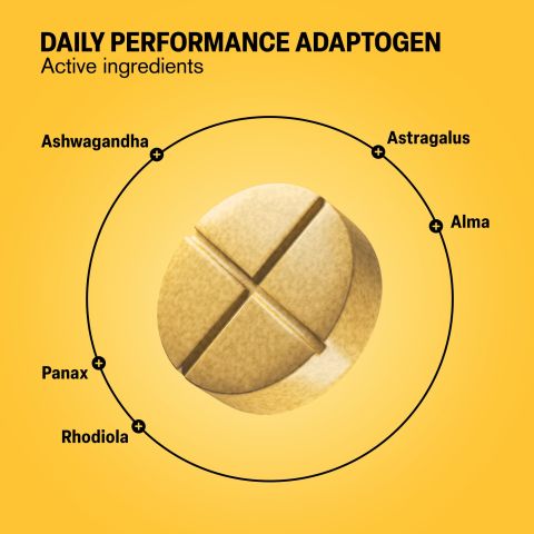 500mg - Daily Performance Adaptogen - Pineapple Ginger - Mood Tablets - Thumbnail 5