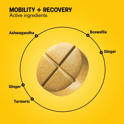 500mg - Mobility + Recovery - Lemon Ginger - Mood Tablets - Thumbnail 5