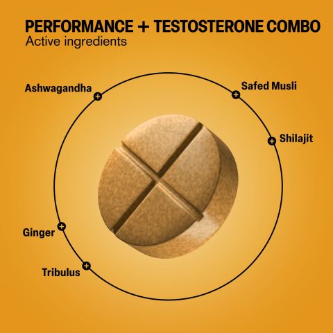 500mg - Performance+Testosterone Combo - Spiced Citrus - Mood Tablets - Thumbnail 5