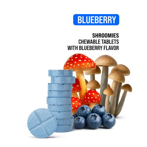1,200mg Magic Mushroom Tablets - Blueberry - Shrooomies - Thumbnail 5
