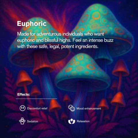 1,200mg Magic Mushroom Tablets - Blueberry - Shrooomies - Thumbnail 7