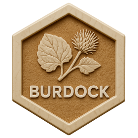 Burdock Products